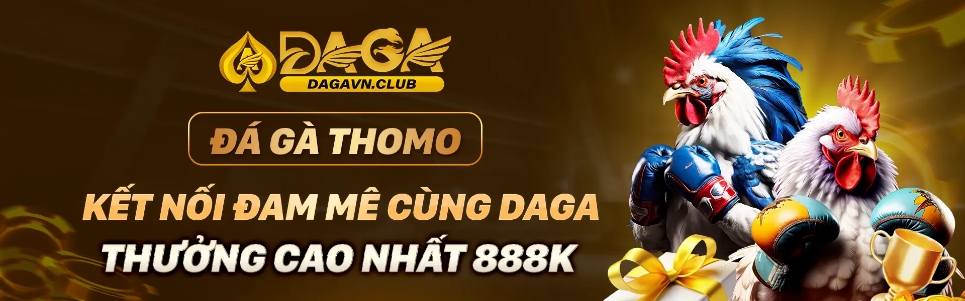 Kết nối đam mê daga cao nhất