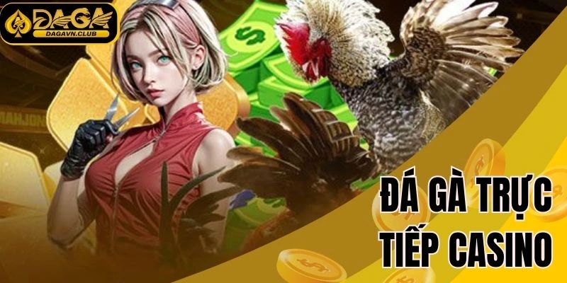 Đá gà trực tiếp casino